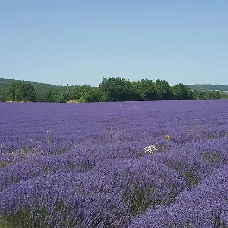 Hébergement de vacances Contemporary With Pool In Cereste-en-luberon Céreste