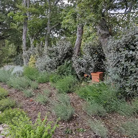 Contemporary With Pool In Cereste-en-luberon * Céreste
